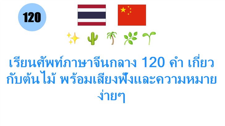 เรียนศัพท์ภาษาจีนกลาง 120 คำ เกี่ยวกับต้นไม้ พร้อมเสียงฟังและความหมายง่ายๆ
